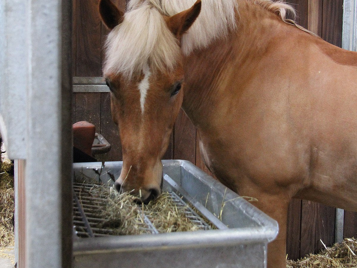 SLOWFEEDER MED GITTER GALVANISERET 150 CM