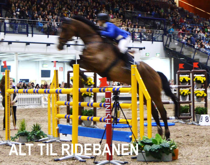 Om Truelshøj Staldinventar