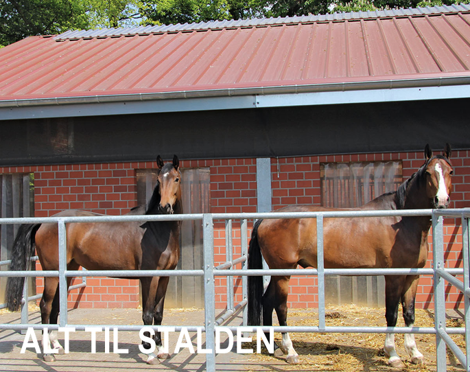 Alt til stalden