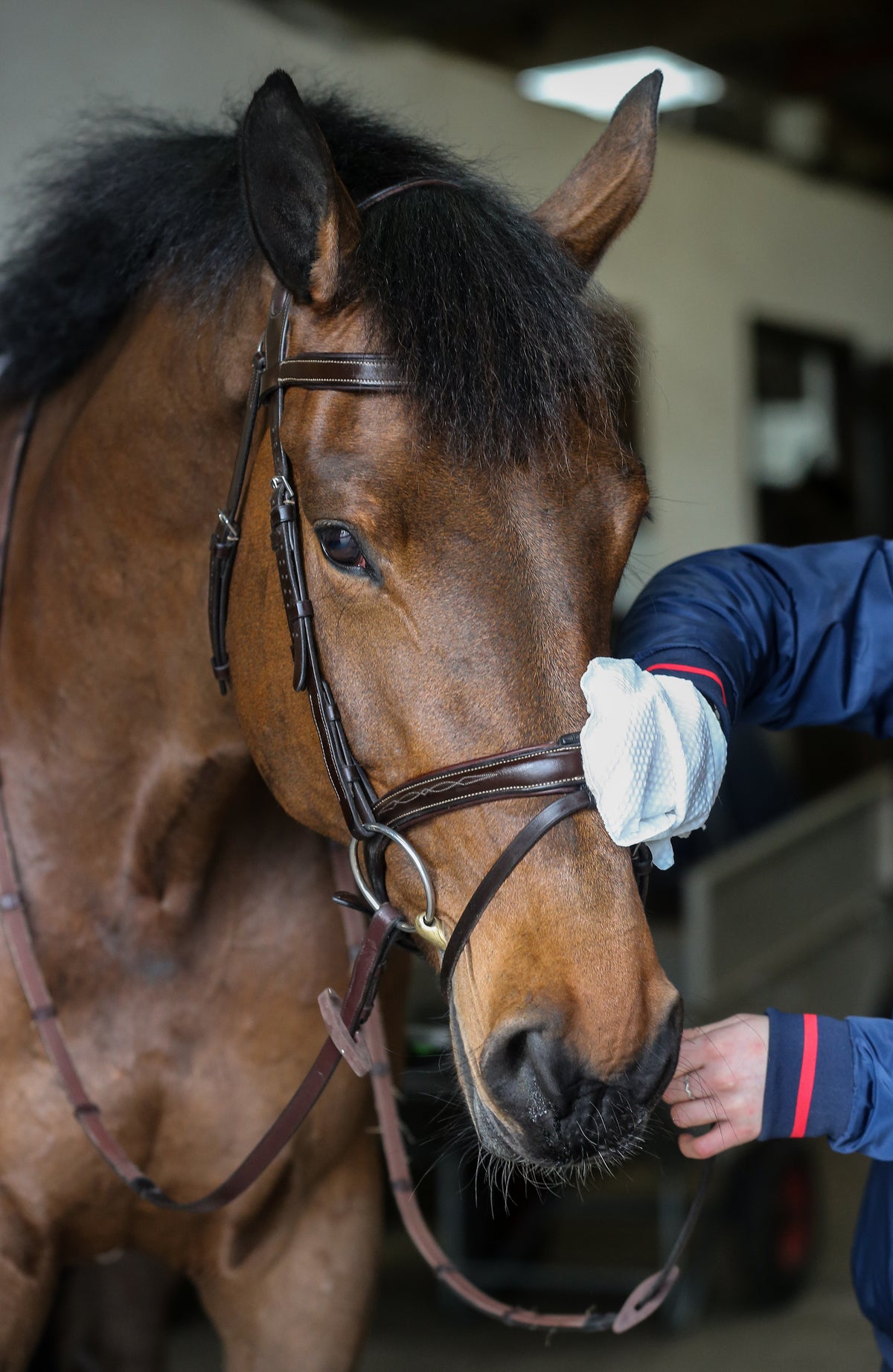 Carr & Day & Martin Belvoir Tack Cleaning Mitt