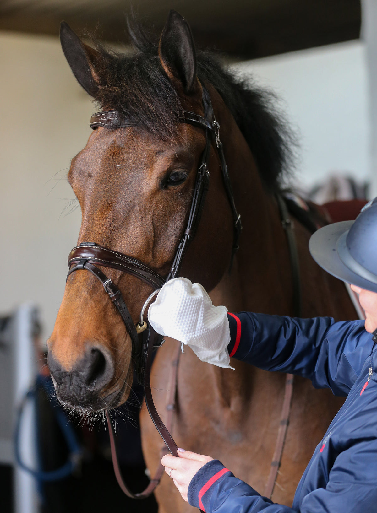 Carr & Day & Martin Belvoir Tack Cleaning Mitt