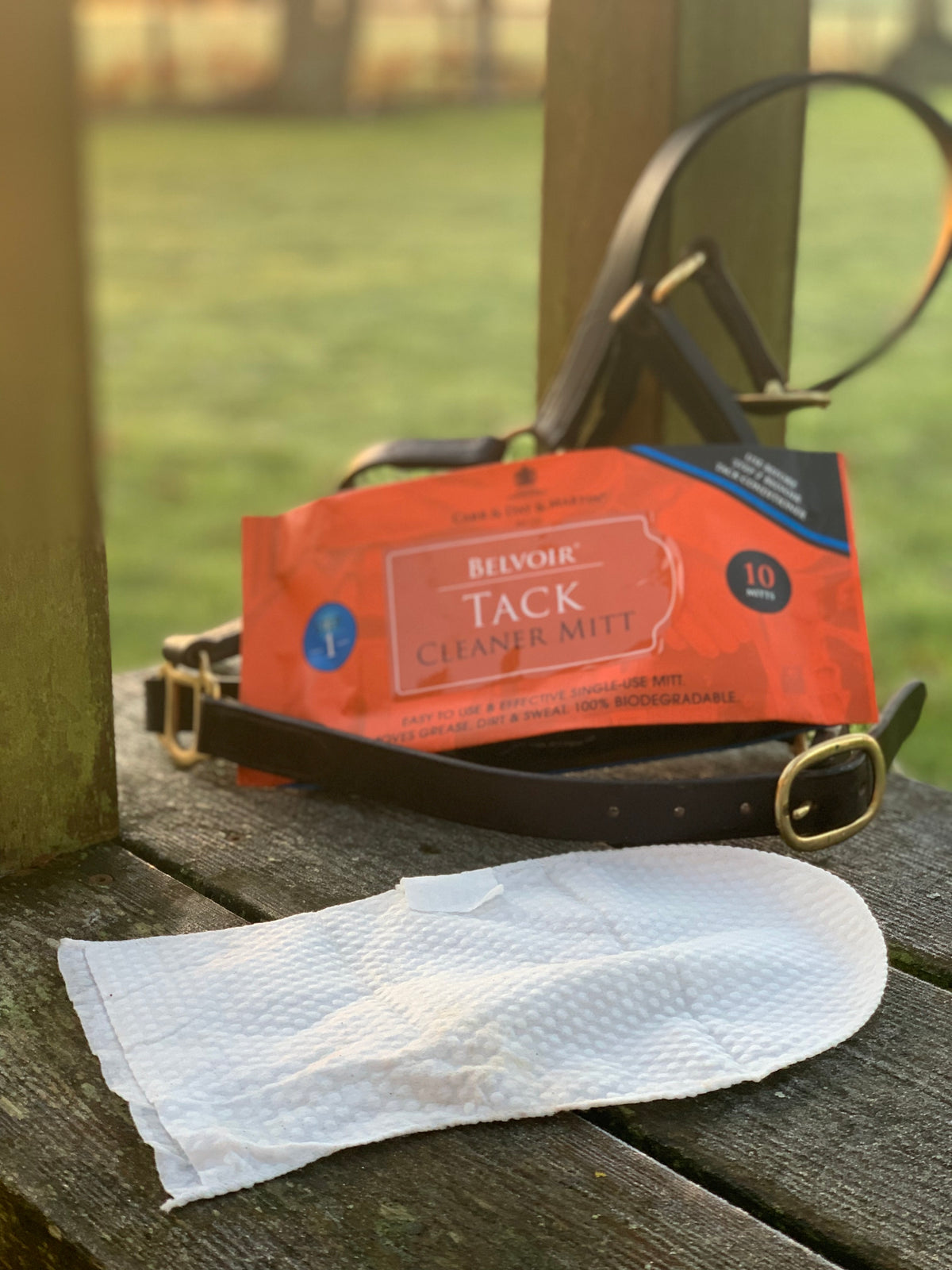 Carr & Day & Martin Belvoir Tack Cleaning Mitt