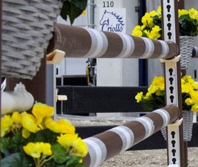 PLASTOMVUNDNE TRÆBOMME I 2 FARVER    (3 m)