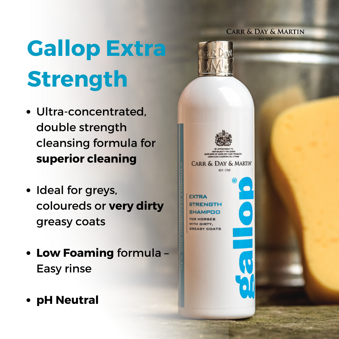 Carr & Day & Martin Gallop Extra Strength Shampoo 500ml