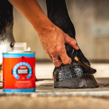 Carr & Day & Martin Daily Hoof Dressing