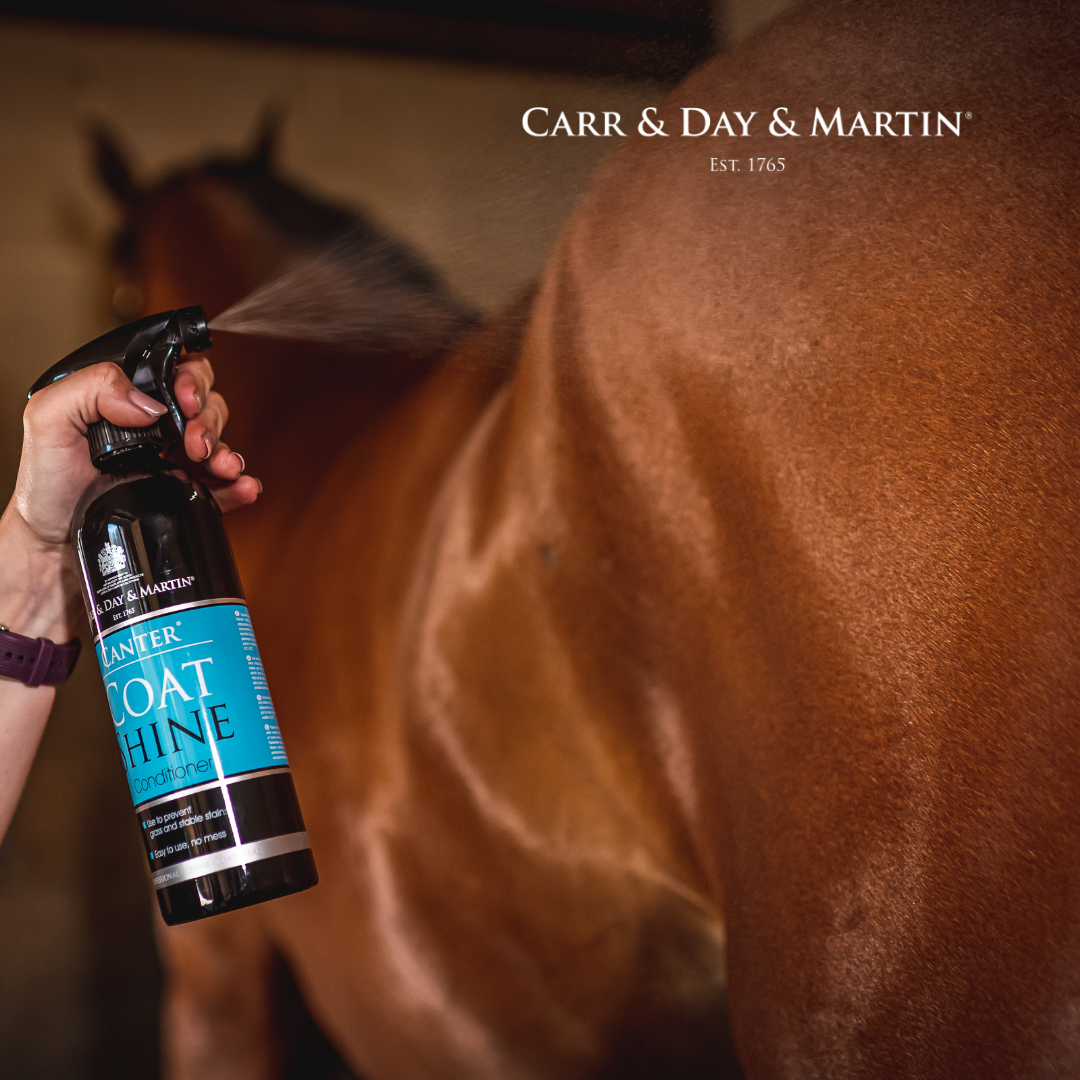 Carr & Day & Martin Coat Shine 500ml