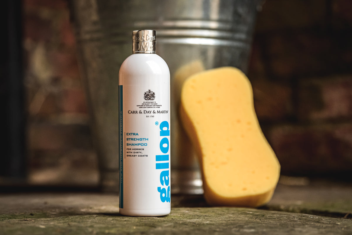 Carr & Day & Martin Gallop Extra Strength Shampoo 500ml