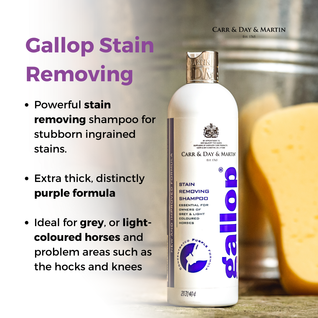 Carr & Day & Martin CDM Gallop Stain Removing Shampoo 500 ml