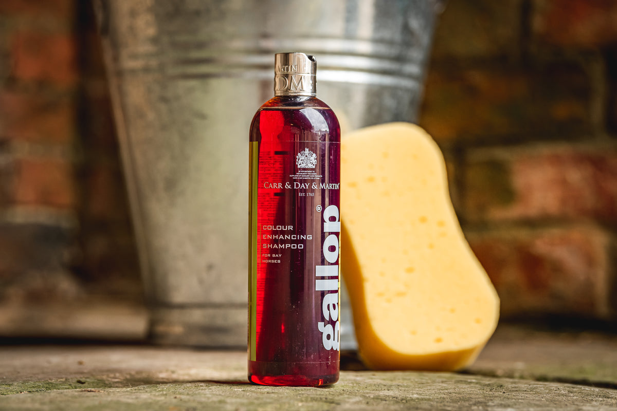 Carr & Day & Martin Gallop Brun 500ml