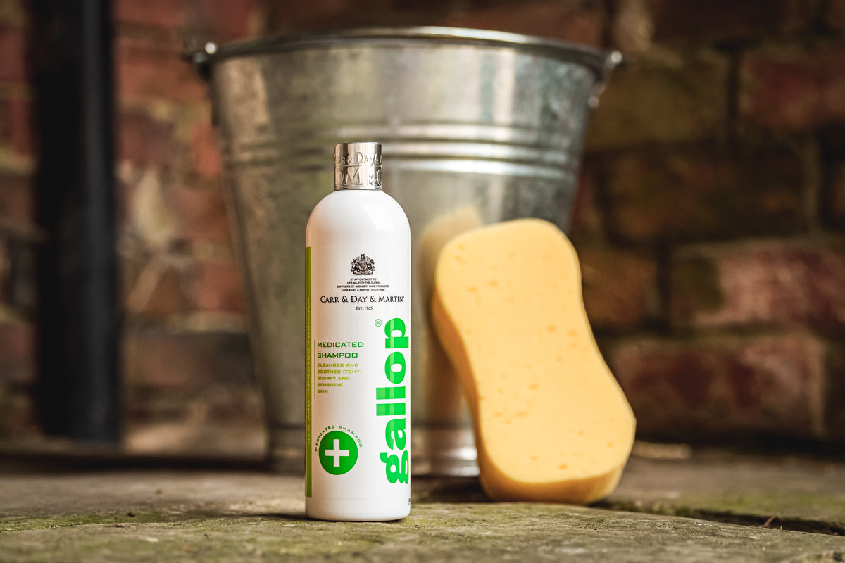 Carr & Day & Martin Medicated Shampoo 500ml