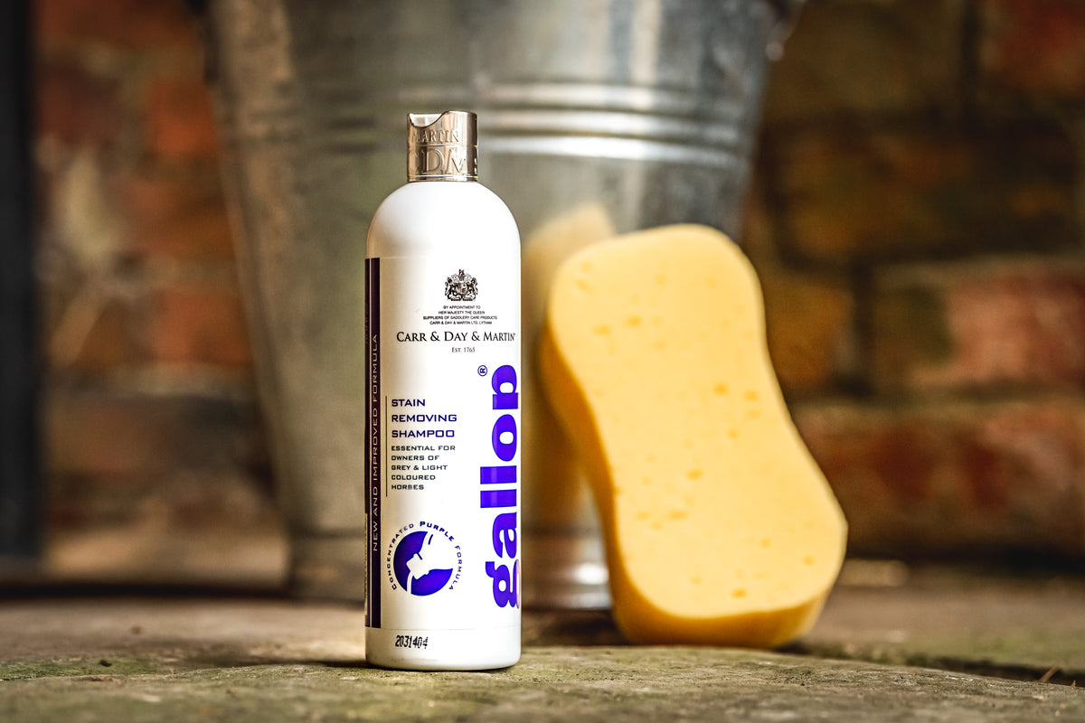 Carr & Day & Martin CDM Gallop Stain Removing Shampoo 500 ml