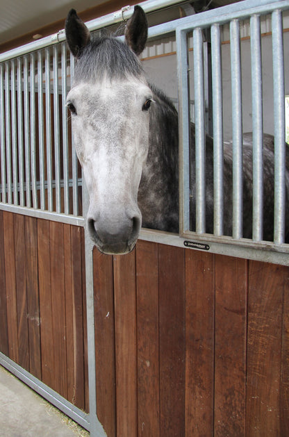 HESTEBOKS (Dorino Classic)