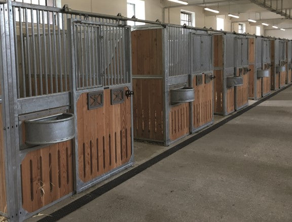 HESTEBOKS (Dorino Classic)