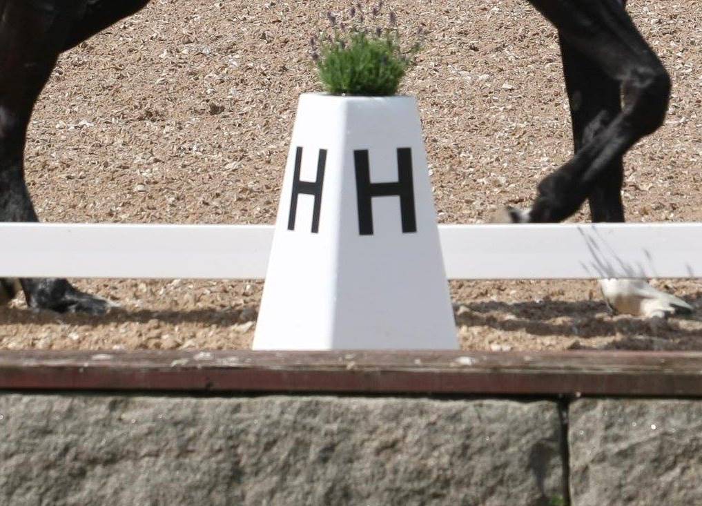 DRESSURHEGN &amp; BOGSTAVER - 20x40 m