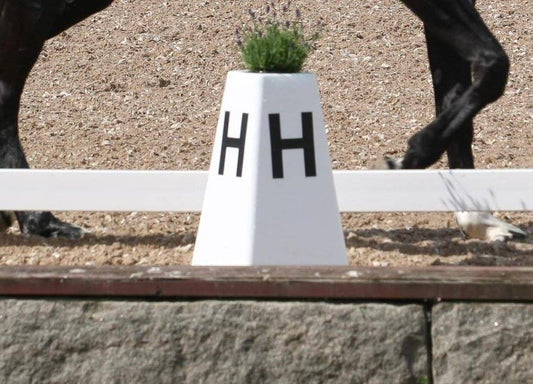 PLANKE TIL DRESSURBANE