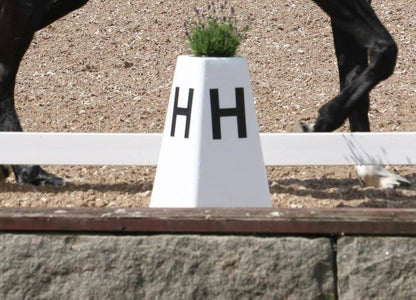 DRESSURHEGN (20 x 40 m)