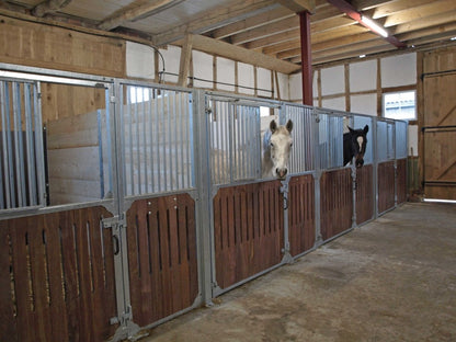 HESTEBOKS (Evando Classic)