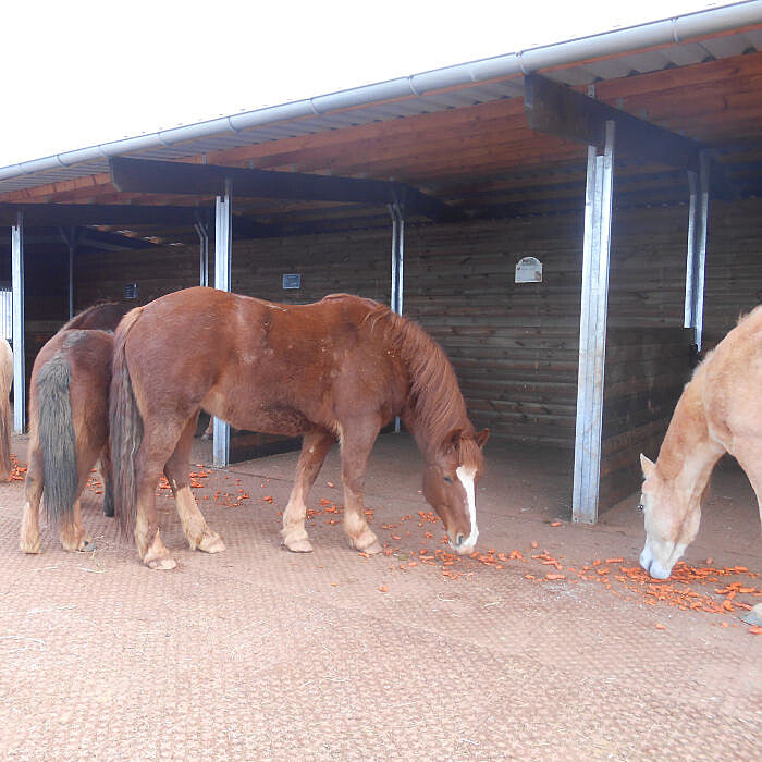 FOLDMÅTTER  (80x125x4cm)