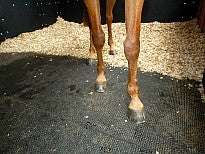 GUMMIMÅTTE TIL STALDGANG &amp; VASKEPLADS PR. LØBENDE M. - GLAT BAGSIDE