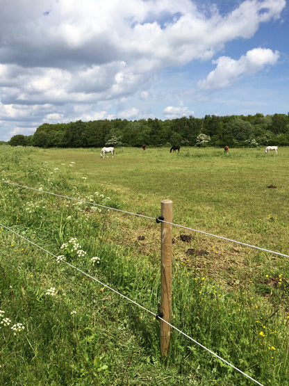 HEGNSPÆLE V. 1 stk. (300 cm x 12 cm Ø)