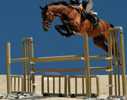 HURDLE (1,1 m x 60 cm)