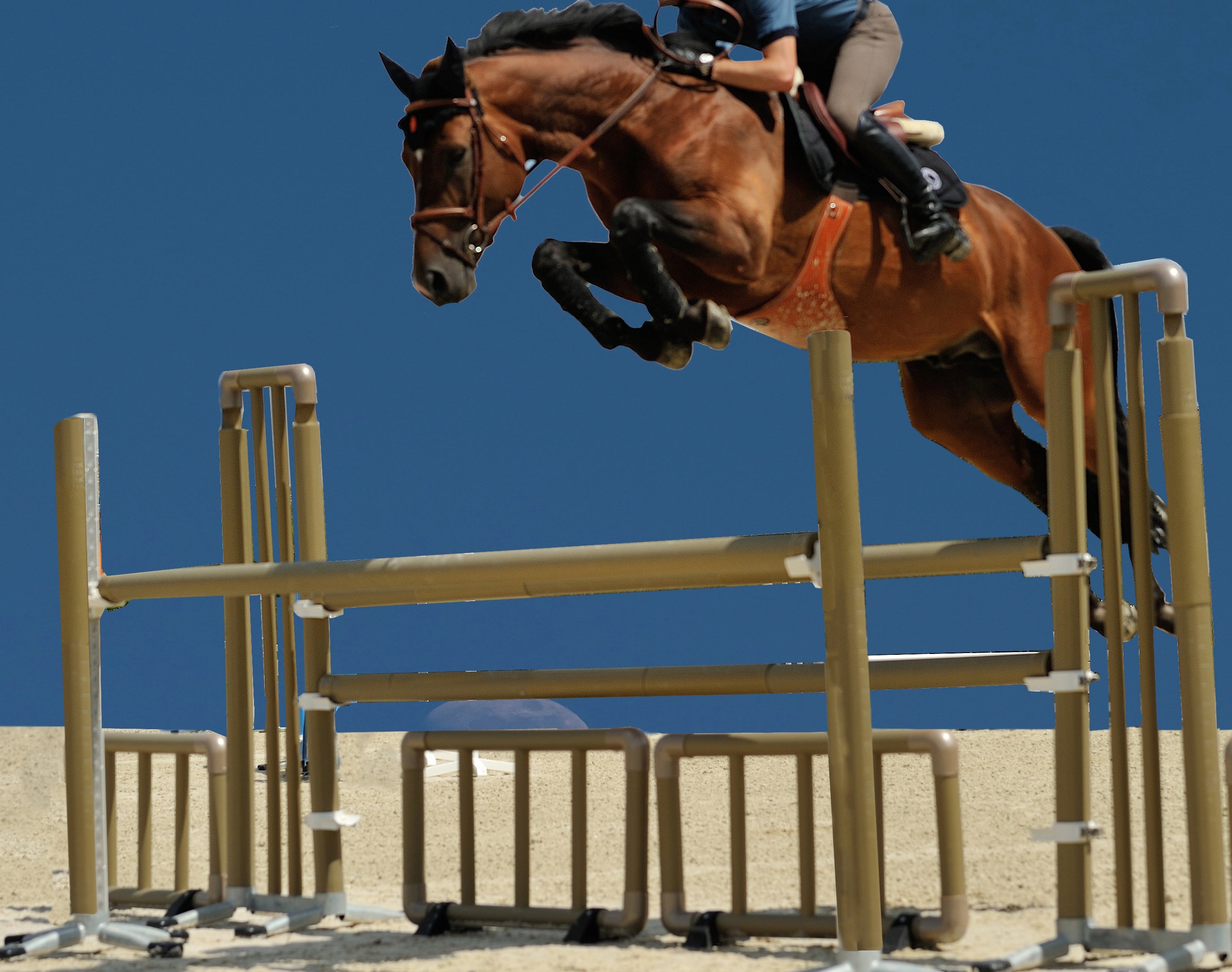 HURDLE (1,1 m x 60 cm)