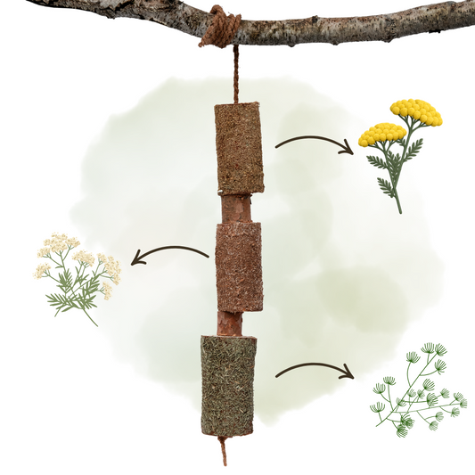 CALM - Urteagtigt trætyggelegetøj til heste