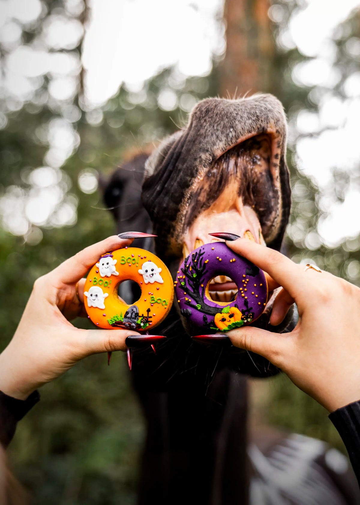 Candy Horse Halloween Iced Donuts – 2-pak