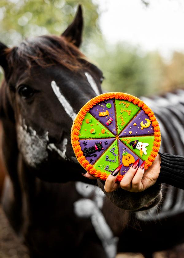 Candy Horse Halloween Iced Tarte – Limited Edition