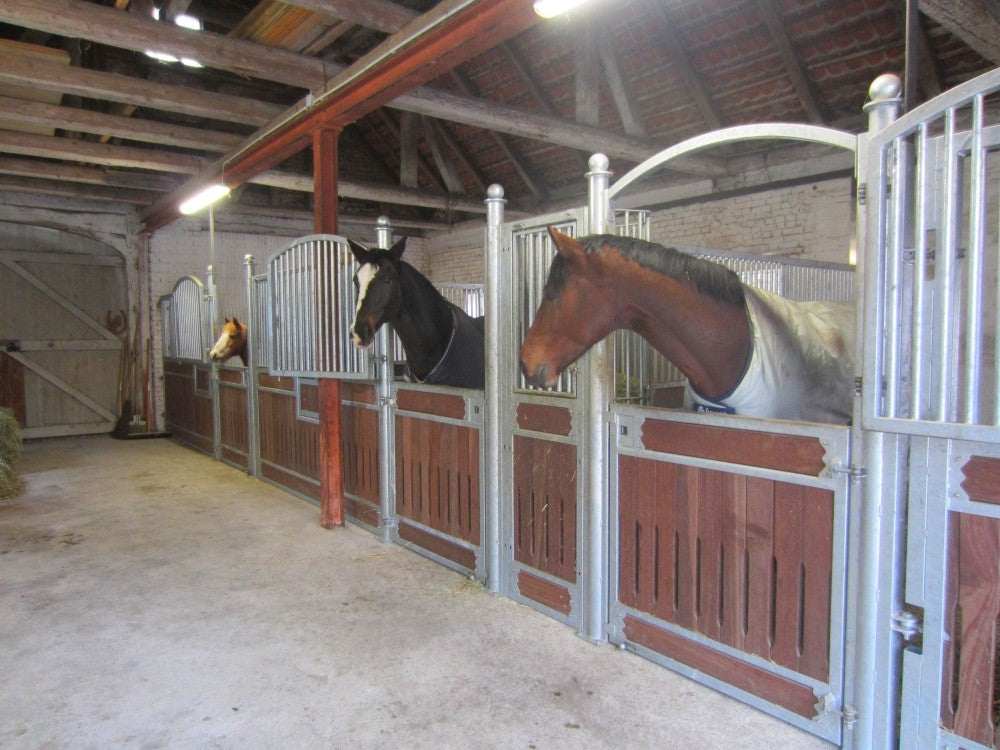 HESTEBOKS (Nando Eksklusiv)