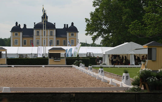 DRESSURHEGN & BOGSTAVER - 20x60 m