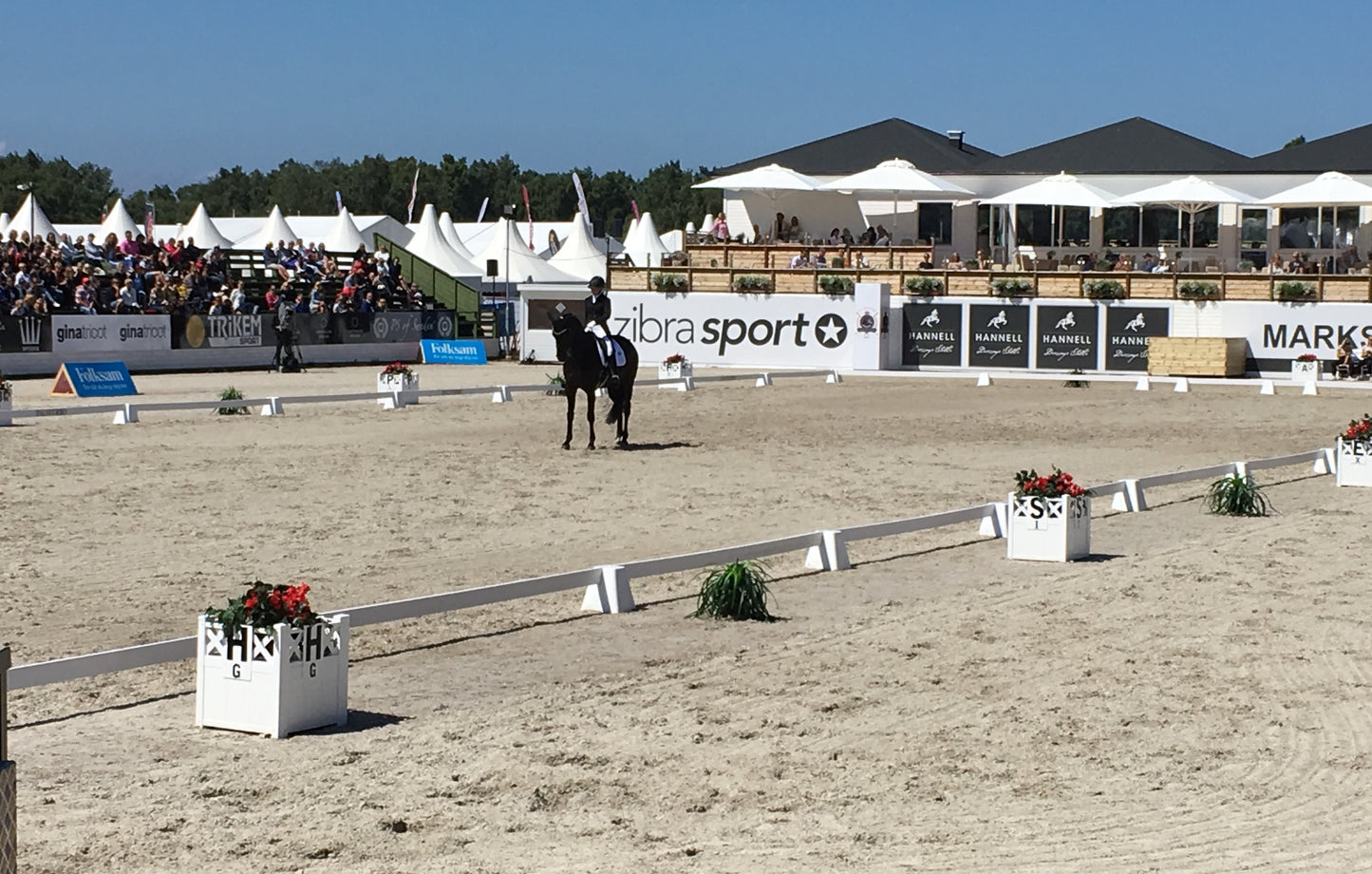 DRESSURHEGN & BOGSTAVER - 20x40 m