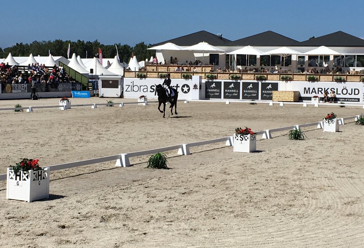 DRESSURHEGN & BOGSTAVER - 20x60 m