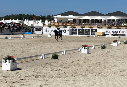 DRESSURHEGN & BOGSTAVER - 20x60 m