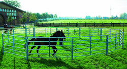 Paddocks & Round penn