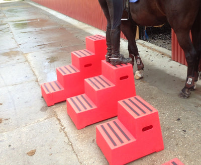 SKAMMEL SKRIDSIKKER SORT (4 trin)