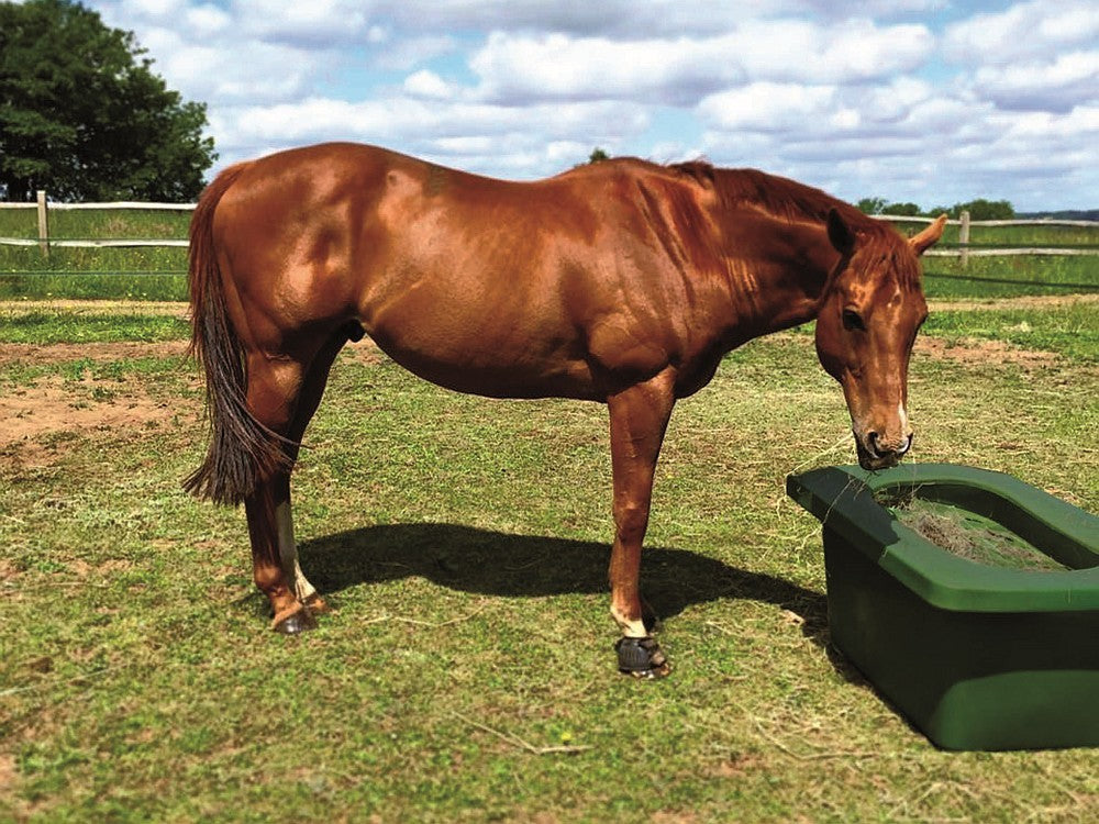 SLOWFEEDER (1-2 heste)