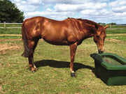 SLOWFEEDER til fold (1-2 heste)