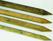 HEGNSPÆLE V. 1 stk. (300 cm x 12 cm Ø)