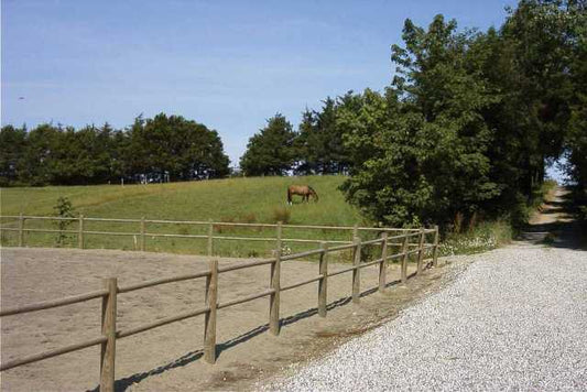 KVALITETSHEGN - TRYKIMPRÆGNERET (3 rafter)