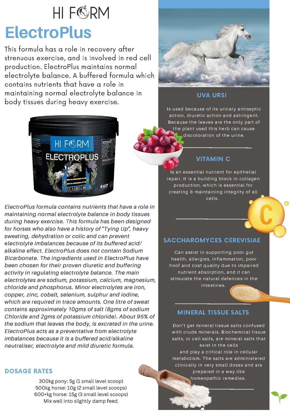 Hi Form ElectroPlus