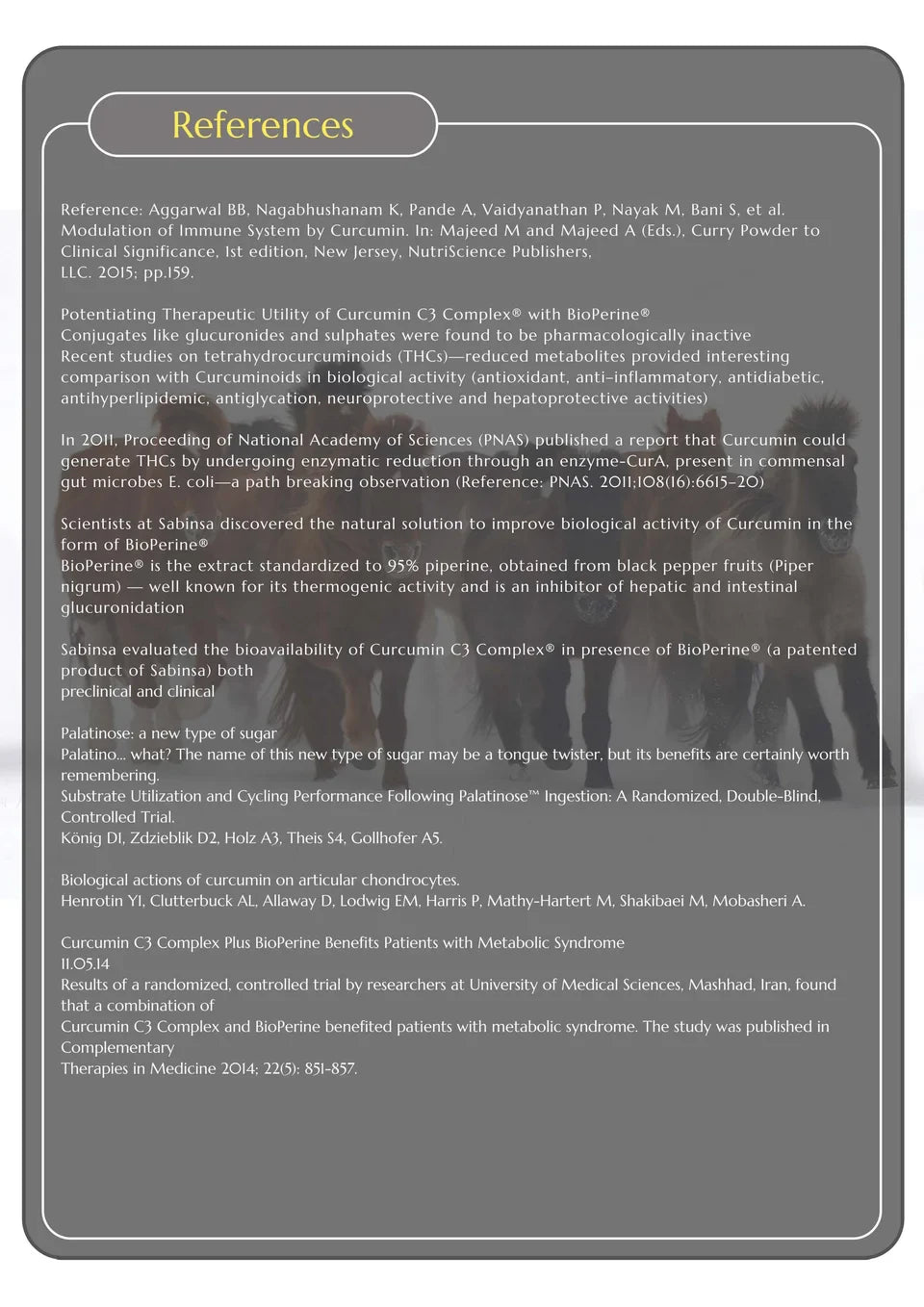 Hi Form EquiGesicPlus
