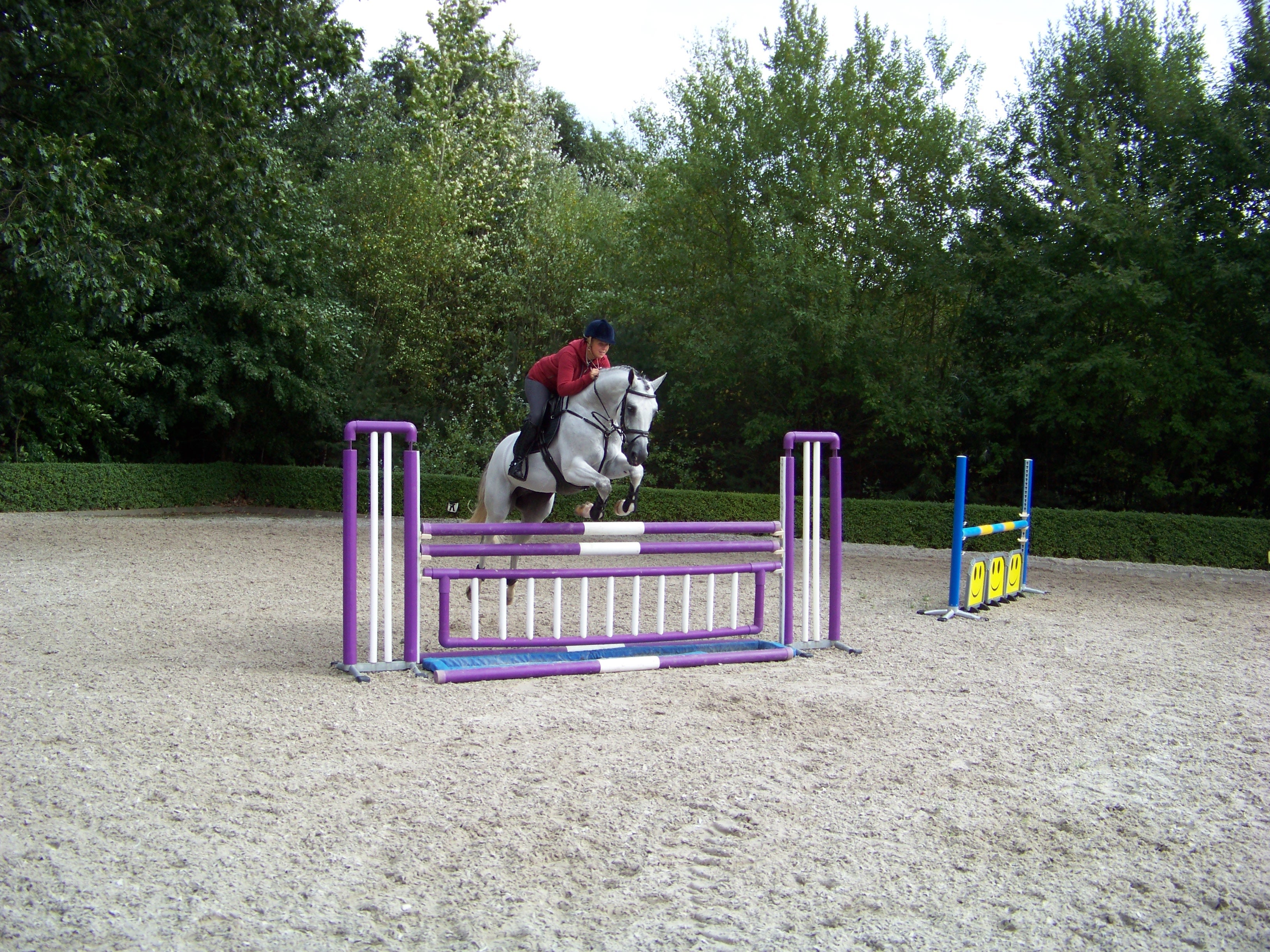 HAVELÅGE (3,5 m x 60 cm)