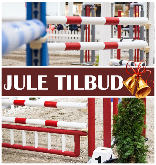 JULE TILBUD - SPRINGPAKKE 1
