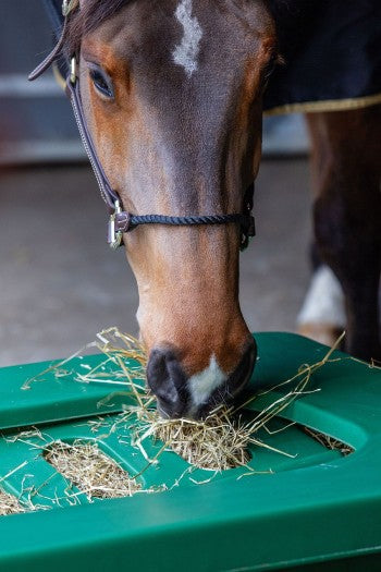 SLOWFEEDER til fold (1-2 heste)