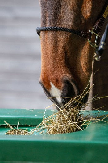 SLOWFEEDER til fold (1-2 heste)