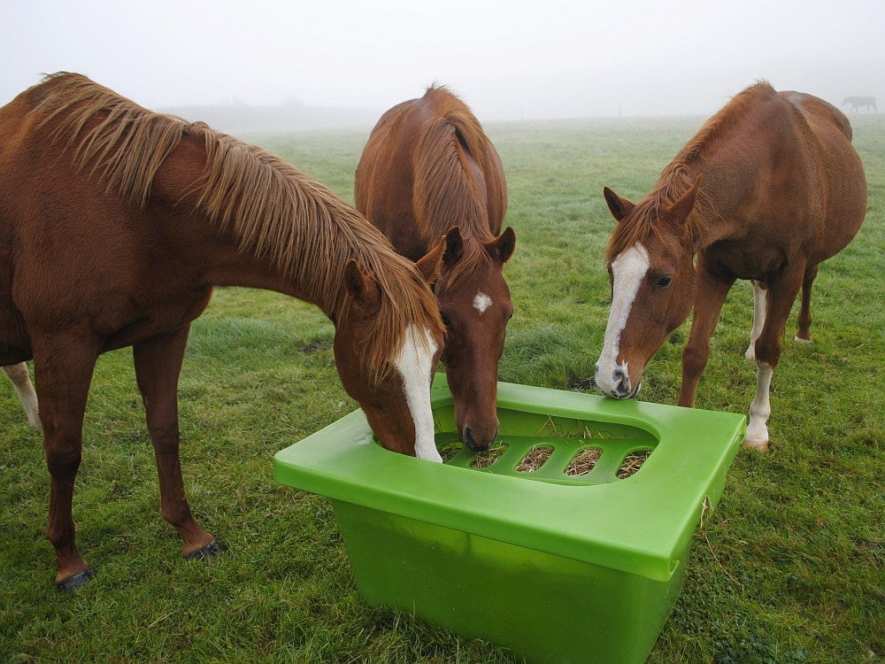 SLOWFEEDER (1-2 heste) 