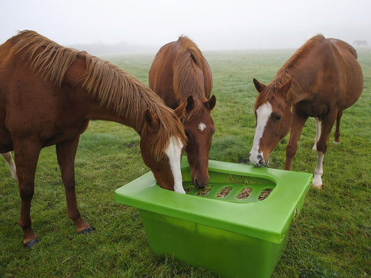 SLOWFEEDER (1-2 heste) 