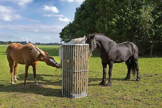 SLOWFEEDER (3-4 heste)