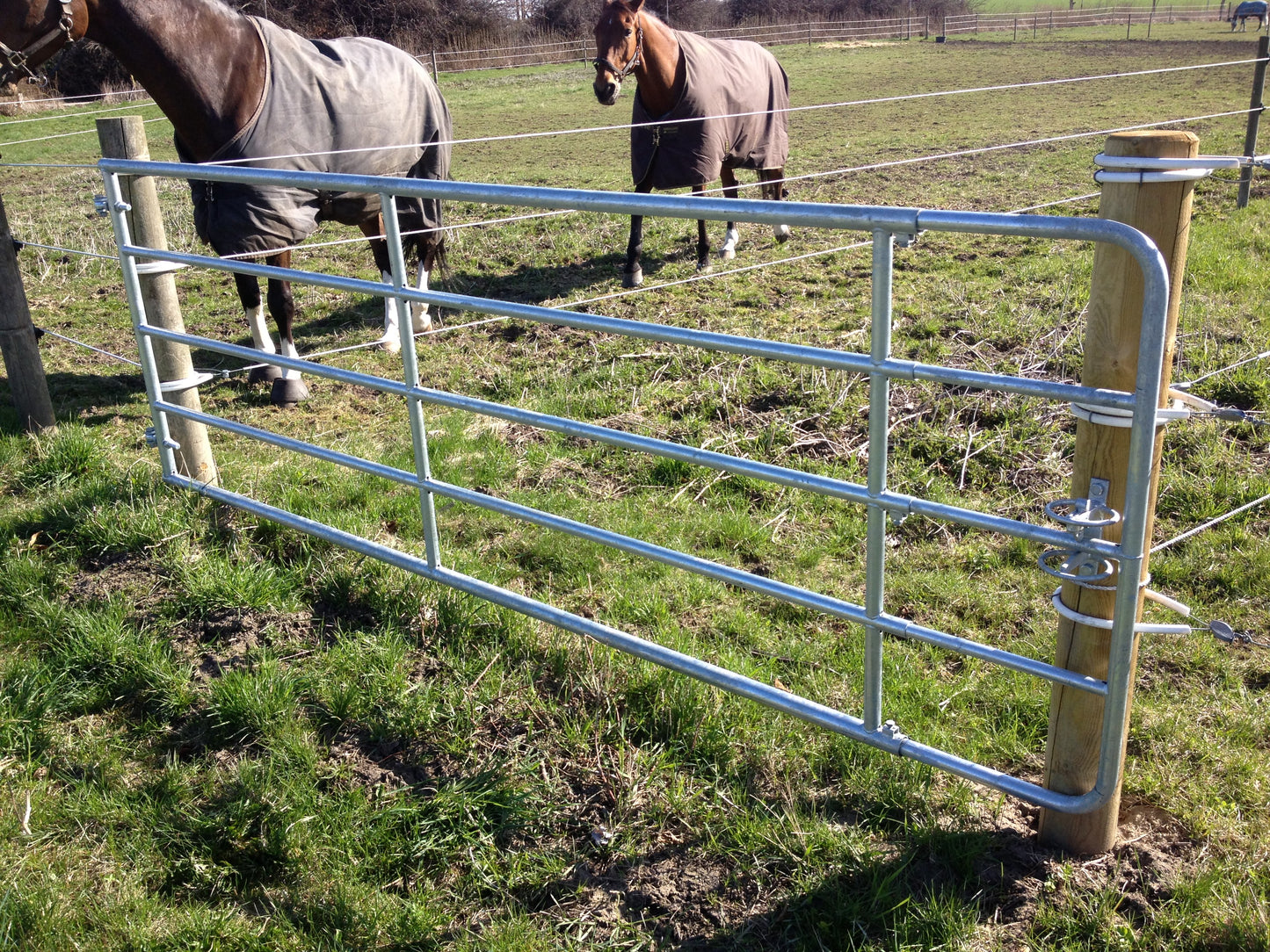 HEGNSLÅGE - STÅL (105-170 cm)